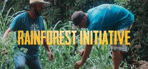 Brazilian Rainforest Initiative